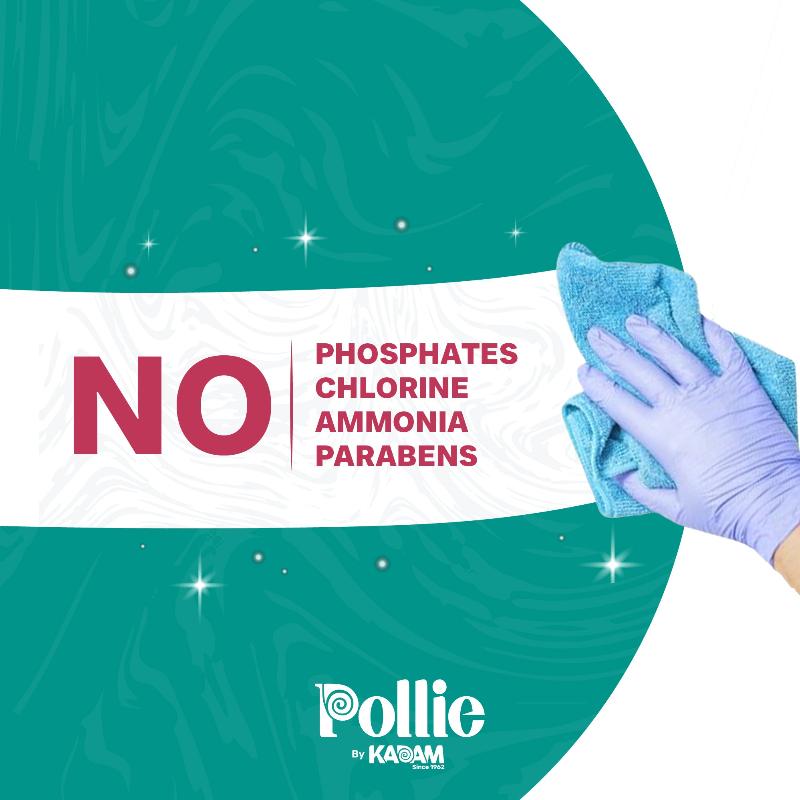 Pollie Glass Cleaner Sachet